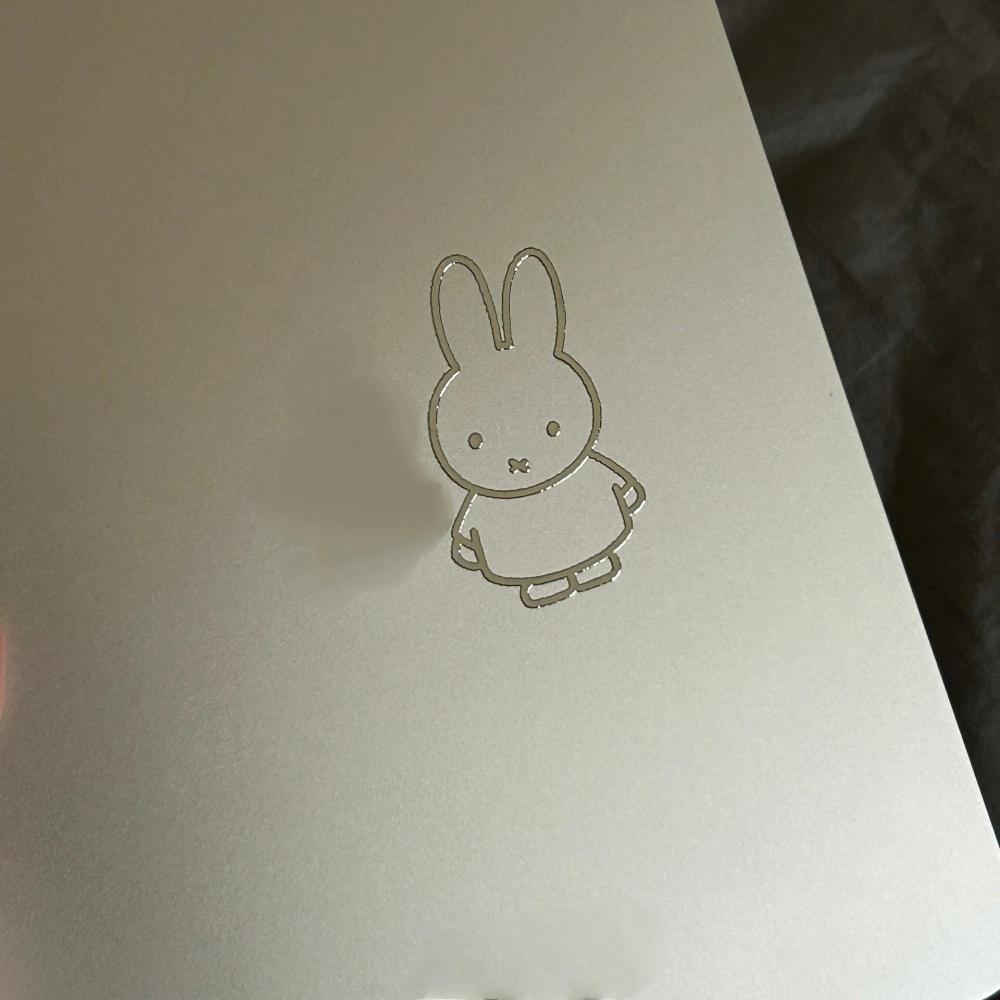 Pegatinas metálicas de Miffy R - Fire Tablet Accessories reseña y precio